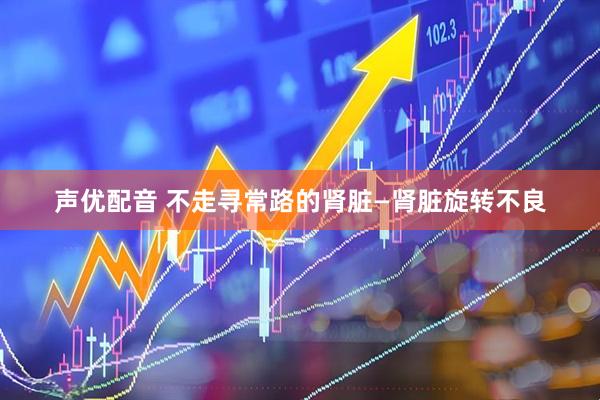 声优配音 不走寻常路的肾脏—肾脏旋转不良